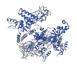 20466_6psw_J_v1-1
Escherichia coli RNA polymerase promoter unwinding intermediate (TRPo) with TraR and rpsT P2 promoter