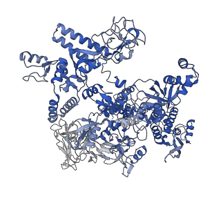 20466_6psw_J_v1-2
Escherichia coli RNA polymerase promoter unwinding intermediate (TRPo) with TraR and rpsT P2 promoter