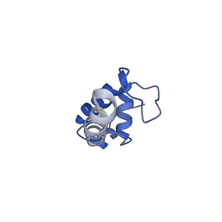 20466_6psw_K_v1-1
Escherichia coli RNA polymerase promoter unwinding intermediate (TRPo) with TraR and rpsT P2 promoter