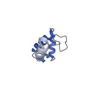 20466_6psw_K_v1-2
Escherichia coli RNA polymerase promoter unwinding intermediate (TRPo) with TraR and rpsT P2 promoter