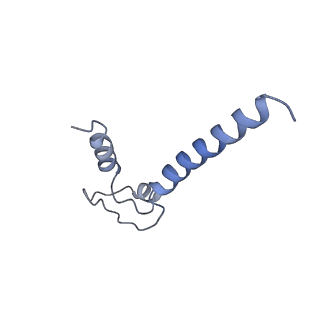 20466_6psw_N_v1-2
Escherichia coli RNA polymerase promoter unwinding intermediate (TRPo) with TraR and rpsT P2 promoter