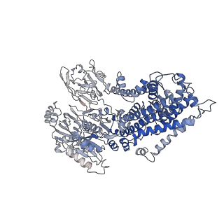 20467_6psx_A_v1-1
Cryo-EM structure of S. cerevisiae Drs2p-Cdc50p in the PI4P-activated form