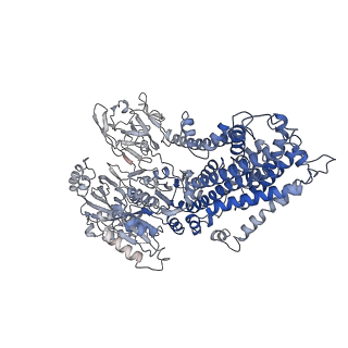 20467_6psx_A_v2-0
Cryo-EM structure of S. cerevisiae Drs2p-Cdc50p in the PI4P-activated form