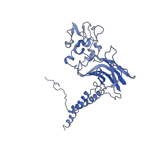 20467_6psx_E_v1-1
Cryo-EM structure of S. cerevisiae Drs2p-Cdc50p in the PI4P-activated form