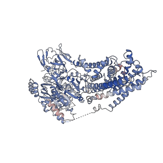 20468_6psy_A_v1-1
Cryo-EM structure of S. cerevisiae Drs2p-Cdc50p in the autoinhibited apo form