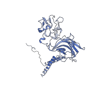 20468_6psy_E_v2-0
Cryo-EM structure of S. cerevisiae Drs2p-Cdc50p in the autoinhibited apo form