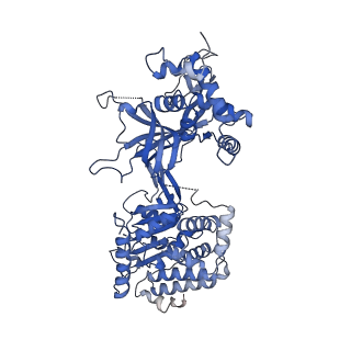 13619_7pt6_2_v1-0
Structure of MCM2-7 DH complexed with Cdc7-Dbf4 in the presence of ATPgS, state III