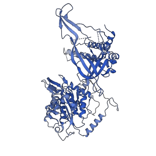 13619_7pt6_3_v1-0
Structure of MCM2-7 DH complexed with Cdc7-Dbf4 in the presence of ATPgS, state III