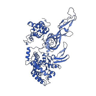 13619_7pt6_4_v1-0
Structure of MCM2-7 DH complexed with Cdc7-Dbf4 in the presence of ATPgS, state III