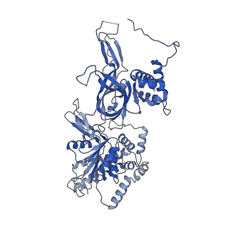 13619_7pt6_5_v1-0
Structure of MCM2-7 DH complexed with Cdc7-Dbf4 in the presence of ATPgS, state III
