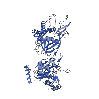 13619_7pt6_6_v1-0
Structure of MCM2-7 DH complexed with Cdc7-Dbf4 in the presence of ATPgS, state III