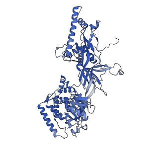 13619_7pt6_7_v1-0
Structure of MCM2-7 DH complexed with Cdc7-Dbf4 in the presence of ATPgS, state III