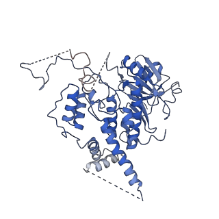 13619_7pt6_8_v1-0
Structure of MCM2-7 DH complexed with Cdc7-Dbf4 in the presence of ATPgS, state III