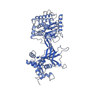 13619_7pt6_B_v1-0
Structure of MCM2-7 DH complexed with Cdc7-Dbf4 in the presence of ATPgS, state III