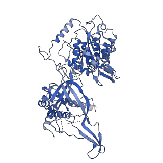 13619_7pt6_C_v1-0
Structure of MCM2-7 DH complexed with Cdc7-Dbf4 in the presence of ATPgS, state III