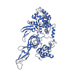 13619_7pt6_D_v1-0
Structure of MCM2-7 DH complexed with Cdc7-Dbf4 in the presence of ATPgS, state III