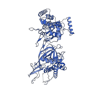 13619_7pt6_F_v1-0
Structure of MCM2-7 DH complexed with Cdc7-Dbf4 in the presence of ATPgS, state III