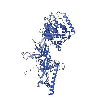13619_7pt6_G_v1-0
Structure of MCM2-7 DH complexed with Cdc7-Dbf4 in the presence of ATPgS, state III