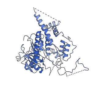 13619_7pt6_H_v1-0
Structure of MCM2-7 DH complexed with Cdc7-Dbf4 in the presence of ATPgS, state III