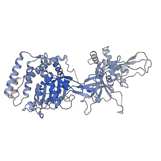 13620_7pt7_2_v1-0
Structure of MCM2-7 DH complexed with Cdc7-Dbf4 in the presence of ADP:BeF3, state I