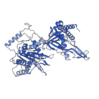 13620_7pt7_3_v1-0
Structure of MCM2-7 DH complexed with Cdc7-Dbf4 in the presence of ADP:BeF3, state I
