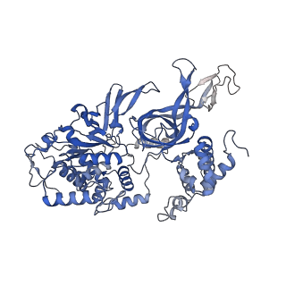 13620_7pt7_4_v1-0
Structure of MCM2-7 DH complexed with Cdc7-Dbf4 in the presence of ADP:BeF3, state I