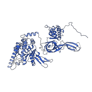 13620_7pt7_5_v1-0
Structure of MCM2-7 DH complexed with Cdc7-Dbf4 in the presence of ADP:BeF3, state I