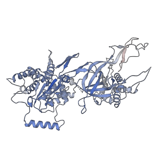 13620_7pt7_6_v1-0
Structure of MCM2-7 DH complexed with Cdc7-Dbf4 in the presence of ADP:BeF3, state I