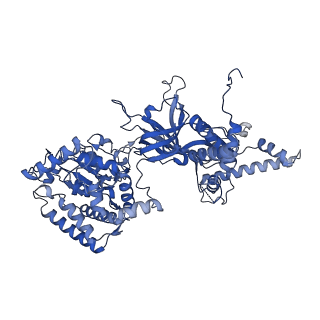 13620_7pt7_7_v1-0
Structure of MCM2-7 DH complexed with Cdc7-Dbf4 in the presence of ADP:BeF3, state I