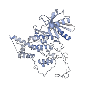 13620_7pt7_8_v1-0
Structure of MCM2-7 DH complexed with Cdc7-Dbf4 in the presence of ADP:BeF3, state I