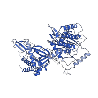 13620_7pt7_C_v1-0
Structure of MCM2-7 DH complexed with Cdc7-Dbf4 in the presence of ADP:BeF3, state I