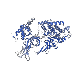 13620_7pt7_D_v1-0
Structure of MCM2-7 DH complexed with Cdc7-Dbf4 in the presence of ADP:BeF3, state I