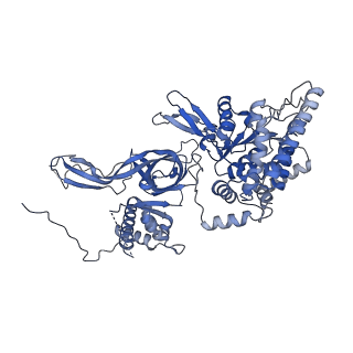 13620_7pt7_E_v1-0
Structure of MCM2-7 DH complexed with Cdc7-Dbf4 in the presence of ADP:BeF3, state I