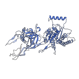 13620_7pt7_F_v1-0
Structure of MCM2-7 DH complexed with Cdc7-Dbf4 in the presence of ADP:BeF3, state I