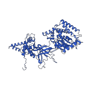 13620_7pt7_G_v1-0
Structure of MCM2-7 DH complexed with Cdc7-Dbf4 in the presence of ADP:BeF3, state I