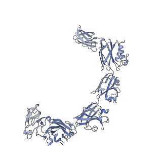 13634_7ptr_B_v1-0
Structure of hexameric S-layer protein from Haloferax volcanii archaea
