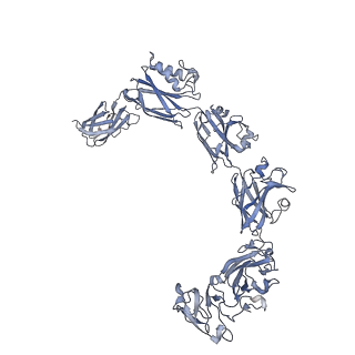13634_7ptr_C_v1-0
Structure of hexameric S-layer protein from Haloferax volcanii archaea