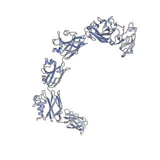 13634_7ptr_E_v1-0
Structure of hexameric S-layer protein from Haloferax volcanii archaea