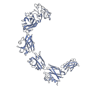 13634_7ptr_F_v1-0
Structure of hexameric S-layer protein from Haloferax volcanii archaea