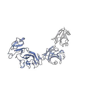 13638_7ptu_A_v1-0
Structure of pentameric S-layer protein from Halofaerax volcanii
