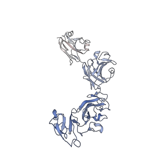 13638_7ptu_B_v1-0
Structure of pentameric S-layer protein from Halofaerax volcanii