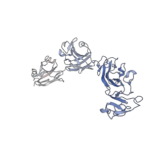 13638_7ptu_C_v1-0
Structure of pentameric S-layer protein from Halofaerax volcanii