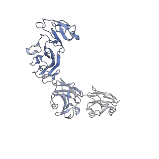 13638_7ptu_E_v1-0
Structure of pentameric S-layer protein from Halofaerax volcanii