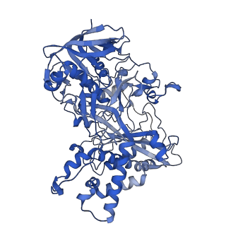 13641_7ptv_A_v1-0
Structure of the Mimivirus genomic fibre asymmetric unit