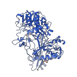 13641_7ptv_B_v1-0
Structure of the Mimivirus genomic fibre asymmetric unit
