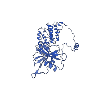 17866_8pt2_A_v1-0
Tilapia Lake Virus polymerase in vRNA pre-initiation state mode B (transcriptase conformation)