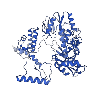 17866_8pt2_B_v1-0
Tilapia Lake Virus polymerase in vRNA pre-initiation state mode B (transcriptase conformation)