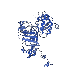 17866_8pt2_C_v1-0
Tilapia Lake Virus polymerase in vRNA pre-initiation state mode B (transcriptase conformation)