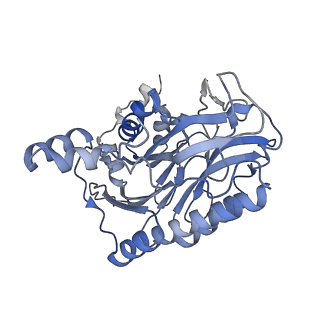 17867_8pt4_A_v1-0
beta-Ureidopropionase tetramer