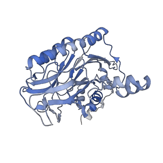 17867_8pt4_B_v1-0
beta-Ureidopropionase tetramer